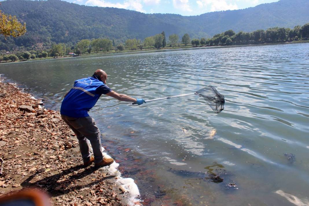 O kentte korkunç manzara: Maske ve eldivenle kamyonete yüklediler! Mahalleli endişeli: Daha önce böyle bir şey yaşamadık 1